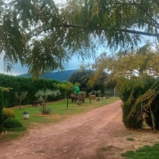 Finca Los Pajaros Cerca De Puy Du Fou Toledo Navahermosa  외부 사진
